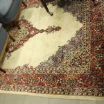 904 1019 ORIENTAL RUG